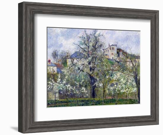 The Vegetable Garden with Trees in Blossom, Spring, Pontoise, 1877-Camille Pissarro-Framed Giclee Print