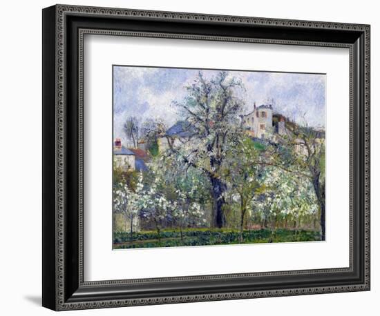 The Vegetable Garden with Trees in Blossom, Spring, Pontoise, 1877-Camille Pissarro-Framed Giclee Print