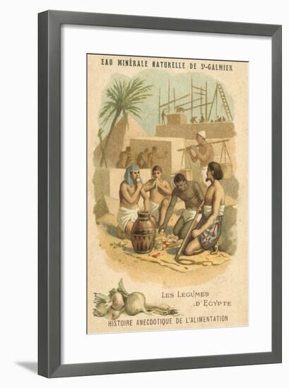 The Vegetables of Egypt-null-Framed Giclee Print
