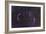 The Veil Nebula-Stocktrek Images-Framed Photographic Print