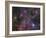 The Vela Supernova Remnant-Stocktrek Images-Framed Photographic Print