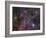 The Vela Supernova Remnant-Stocktrek Images-Framed Photographic Print