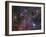 The Vela Supernova Remnant-Stocktrek Images-Framed Photographic Print