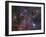 The Vela Supernova Remnant-Stocktrek Images-Framed Photographic Print