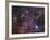 The Vela Supernova Remnant-Stocktrek Images-Framed Photographic Print