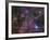 The Vela Supernova Remnant-Stocktrek Images-Framed Photographic Print