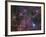 The Vela Supernova Remnant-Stocktrek Images-Framed Photographic Print