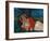 The Venetian Woman, C. 1926-Chaim Soutine-Framed Giclee Print