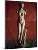 The Venus Tauride or Venus of Tauris, 2nd Century Ad-null-Mounted Photographic Print