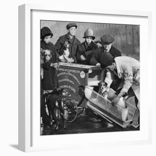 The Vet from the Fulham Branch of the People's Dispensary for Sick Animals-English Photographer-Framed Giclee Print