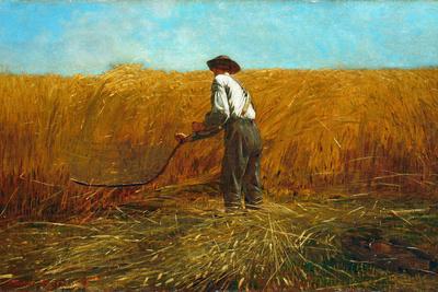 The Veteran In A New Field 1865 Giclee Print Winslow Homer Art Com