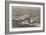 The Victoria Falls of the River Zambesi, South Africa-Thomas Baines-Framed Giclee Print