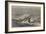 The Victoria Falls of the River Zambesi, South Africa-Thomas Baines-Framed Giclee Print