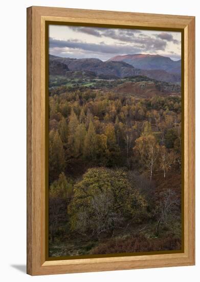 The view at twilight from Holme Fell, Lake District National Park, Cumbria, England, United Kingdom-Jon Gibbs-Framed Premier Image Canvas