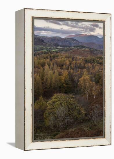 The view at twilight from Holme Fell, Lake District National Park, Cumbria, England, United Kingdom-Jon Gibbs-Framed Premier Image Canvas