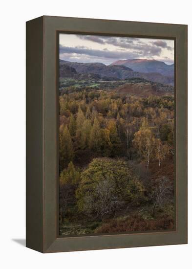 The view at twilight from Holme Fell, Lake District National Park, Cumbria, England, United Kingdom-Jon Gibbs-Framed Premier Image Canvas