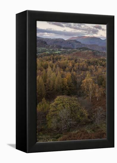 The view at twilight from Holme Fell, Lake District National Park, Cumbria, England, United Kingdom-Jon Gibbs-Framed Premier Image Canvas