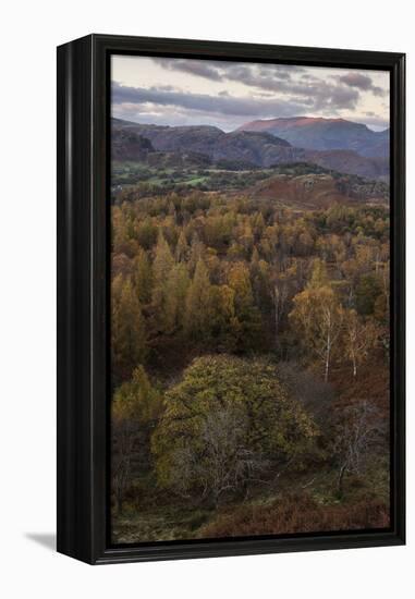 The view at twilight from Holme Fell, Lake District National Park, Cumbria, England, United Kingdom-Jon Gibbs-Framed Premier Image Canvas