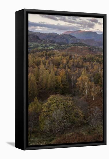 The view at twilight from Holme Fell, Lake District National Park, Cumbria, England, United Kingdom-Jon Gibbs-Framed Premier Image Canvas