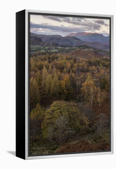 The view at twilight from Holme Fell, Lake District National Park, Cumbria, England, United Kingdom-Jon Gibbs-Framed Premier Image Canvas