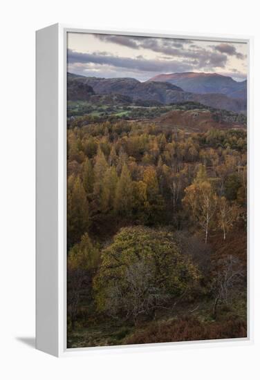 The view at twilight from Holme Fell, Lake District National Park, Cumbria, England, United Kingdom-Jon Gibbs-Framed Premier Image Canvas