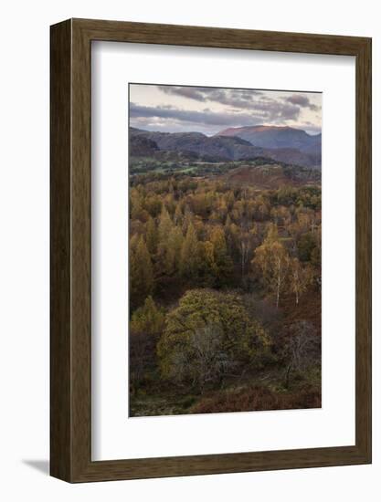 The view at twilight from Holme Fell, Lake District National Park, Cumbria, England, United Kingdom-Jon Gibbs-Framed Photographic Print