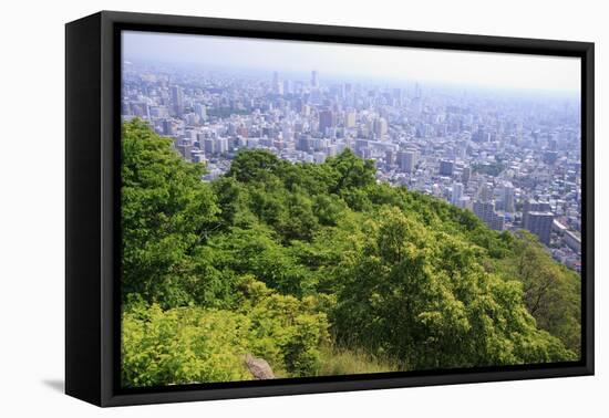 The View Out over Sapporo City from the Summit of Mt Maruyama, Hokkaido, Japan-Paul Dymond-Framed Premier Image Canvas