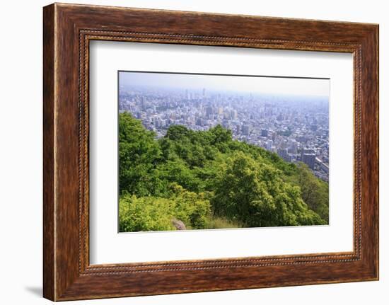 The View Out over Sapporo City from the Summit of Mt Maruyama, Hokkaido, Japan-Paul Dymond-Framed Photographic Print