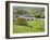 The Village of Burnsall in Wharfedale, Yorkshire Dales, Yorkshire, England, United Kingdom, Europe-Mark Sunderland-Framed Photographic Print