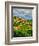 The Village of Montefioralle Overlooks the Tuscan Hills around Greve, Tuscany, Italy-Richard Duval-Framed Photographic Print