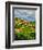 The Village of Montefioralle Overlooks the Tuscan Hills around Greve, Tuscany, Italy-Richard Duval-Framed Photographic Print