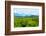 The Vinales Valley in Cuba, a Famous Tourist Destination and a Major Tobacco Growing Area-Kamira-Framed Photographic Print