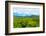 The Vinales Valley in Cuba, a Famous Tourist Destination and a Major Tobacco Growing Area-Kamira-Framed Photographic Print