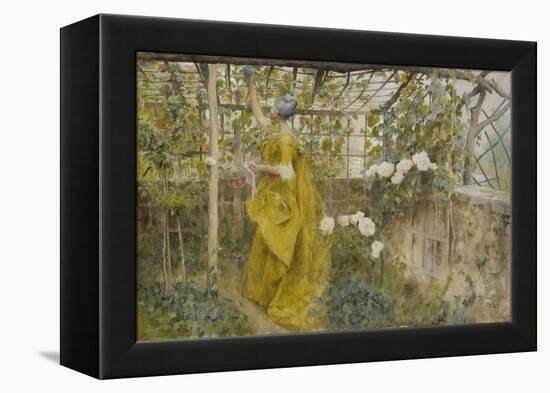 The Vine, 1884-Carl Larsson-Framed Premier Image Canvas