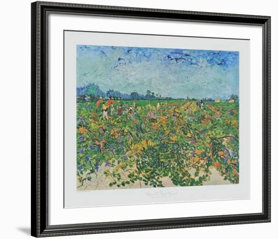 The Vineyard-Vincent van Gogh-Framed Collectable Print