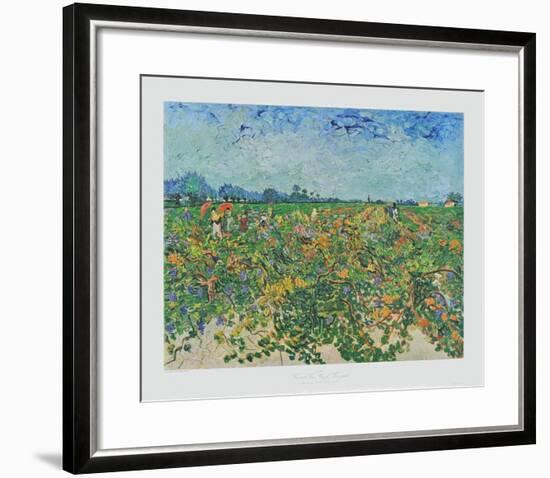 The Vineyard-Vincent van Gogh-Framed Collectable Print