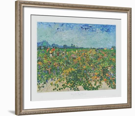 The Vineyard-Vincent van Gogh-Framed Collectable Print