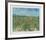 The Vineyard-Vincent van Gogh-Framed Collectable Print