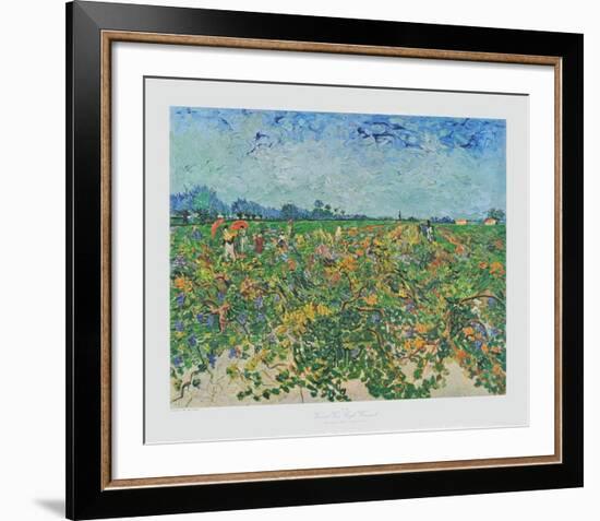 The Vineyard-Vincent van Gogh-Framed Collectable Print