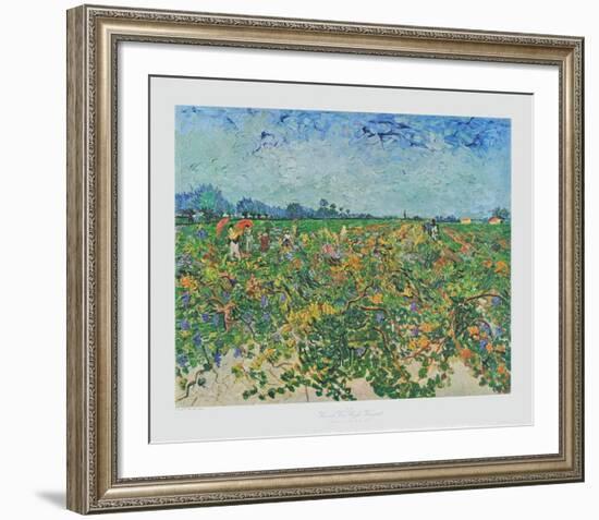 The Vineyard-Vincent van Gogh-Framed Collectable Print