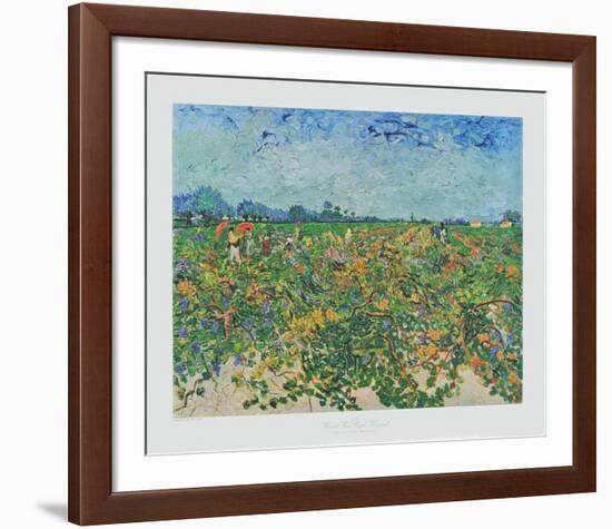 The Vineyard-Vincent van Gogh-Framed Collectable Print