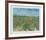 The Vineyard-Vincent van Gogh-Framed Collectable Print