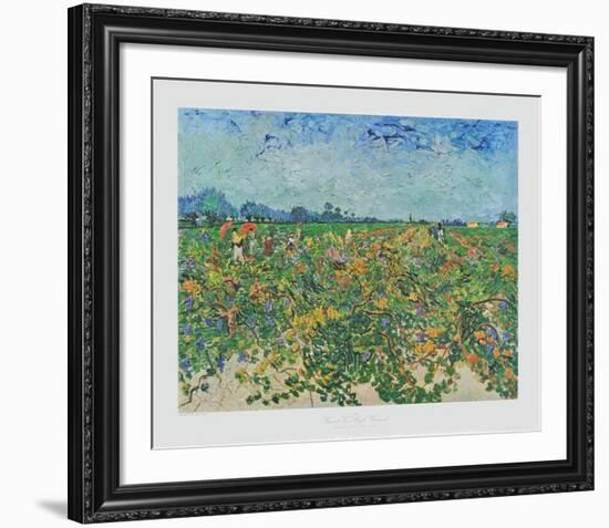 The Vineyard-Vincent van Gogh-Framed Collectable Print