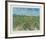 The Vineyard-Vincent van Gogh-Framed Collectable Print