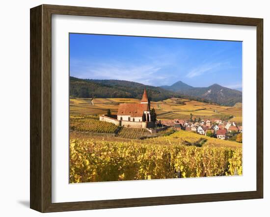 The Vineyards at Hunawihr, Alsace, France-Katja Kreder-Framed Photographic Print