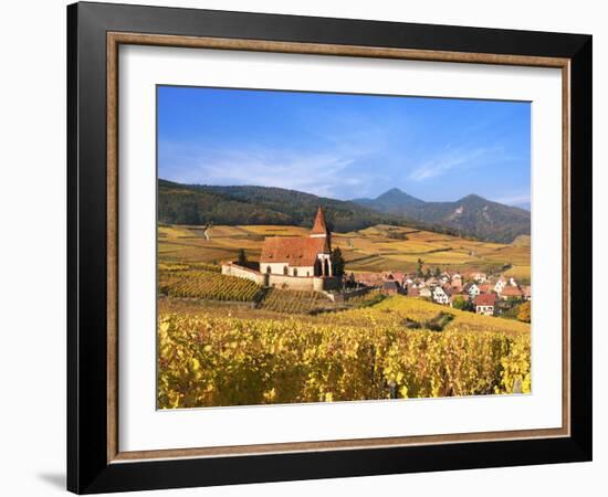 The Vineyards at Hunawihr, Alsace, France-Katja Kreder-Framed Photographic Print