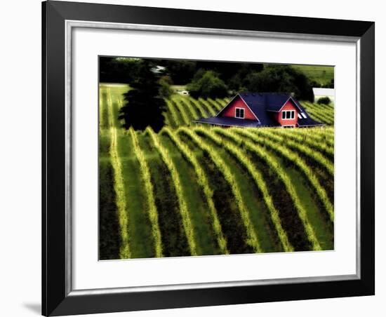 The Vineyards of Dundee Hills, Wine Country, Oregon, Usa-Richard Duval-Framed Photographic Print