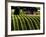 The Vineyards of Dundee Hills, Wine Country, Oregon, Usa-Richard Duval-Framed Photographic Print