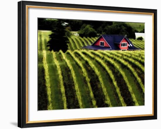 The Vineyards of Dundee Hills, Wine Country, Oregon, Usa-Richard Duval-Framed Photographic Print
