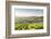 The vineyards of Sancerre above Chavignol, Cher, Centre, France, Europe-Julian Elliott-Framed Photographic Print